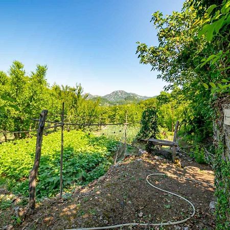 Ethno House Osobak Bed & Breakfast Virpazar Exterior photo