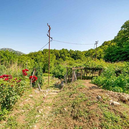 Ethno House Osobak Bed & Breakfast Virpazar Exterior photo