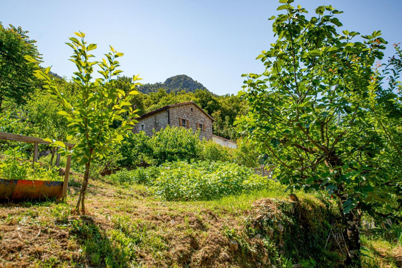 Ethno House Osobak Bed & Breakfast Virpazar Exterior photo