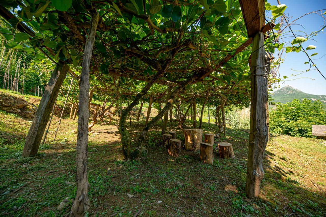 Ethno House Osobak Bed & Breakfast Virpazar Exterior photo