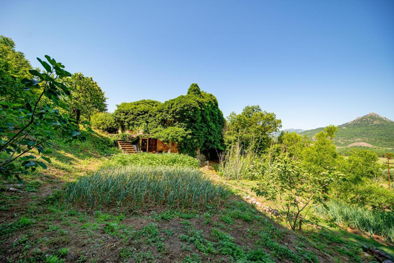 Ethno House Osobak Bed & Breakfast Virpazar Exterior photo