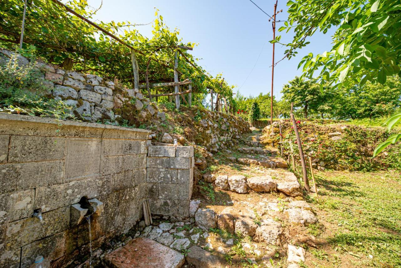 Ethno House Osobak Bed & Breakfast Virpazar Exterior photo