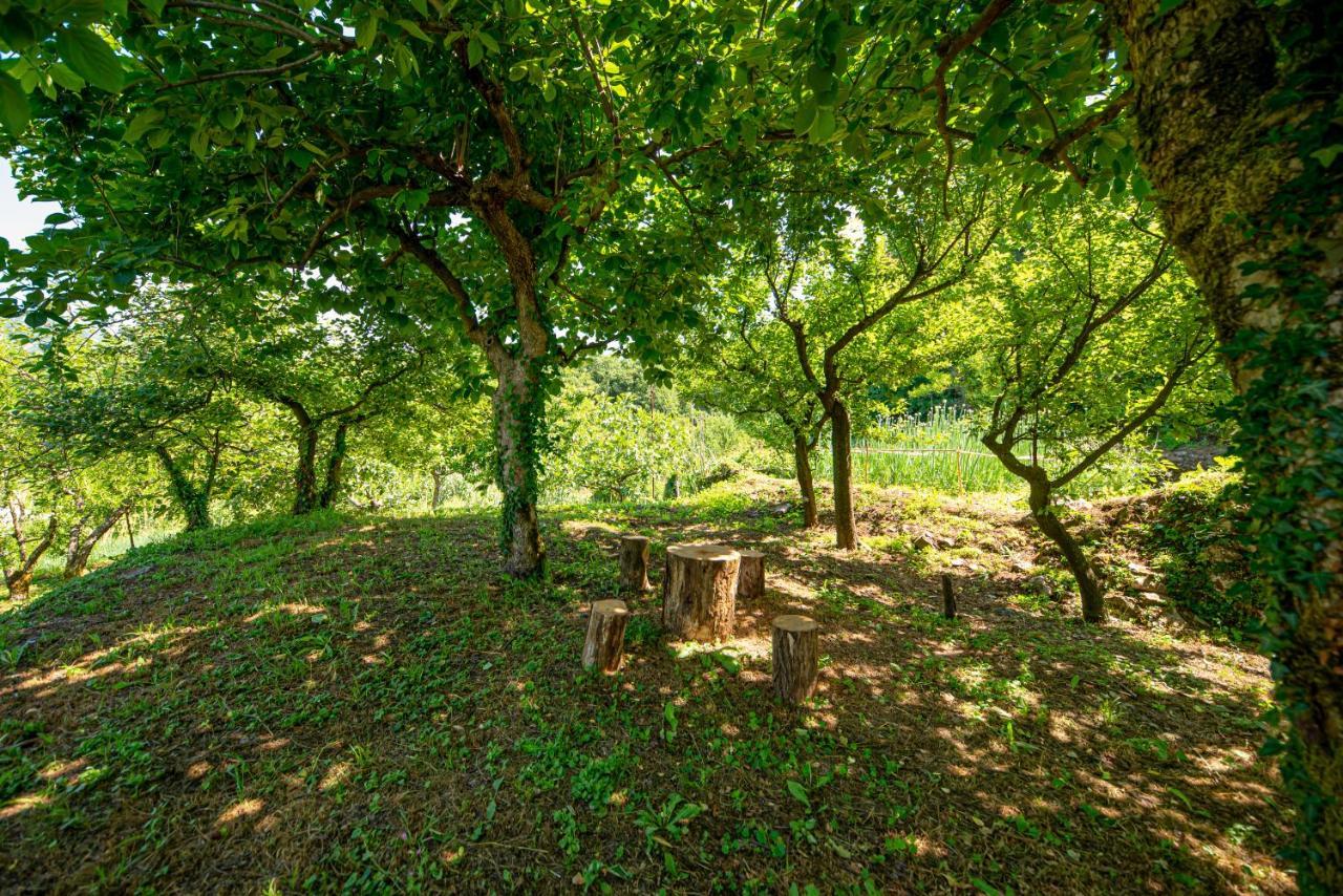 Ethno House Osobak Bed & Breakfast Virpazar Exterior photo