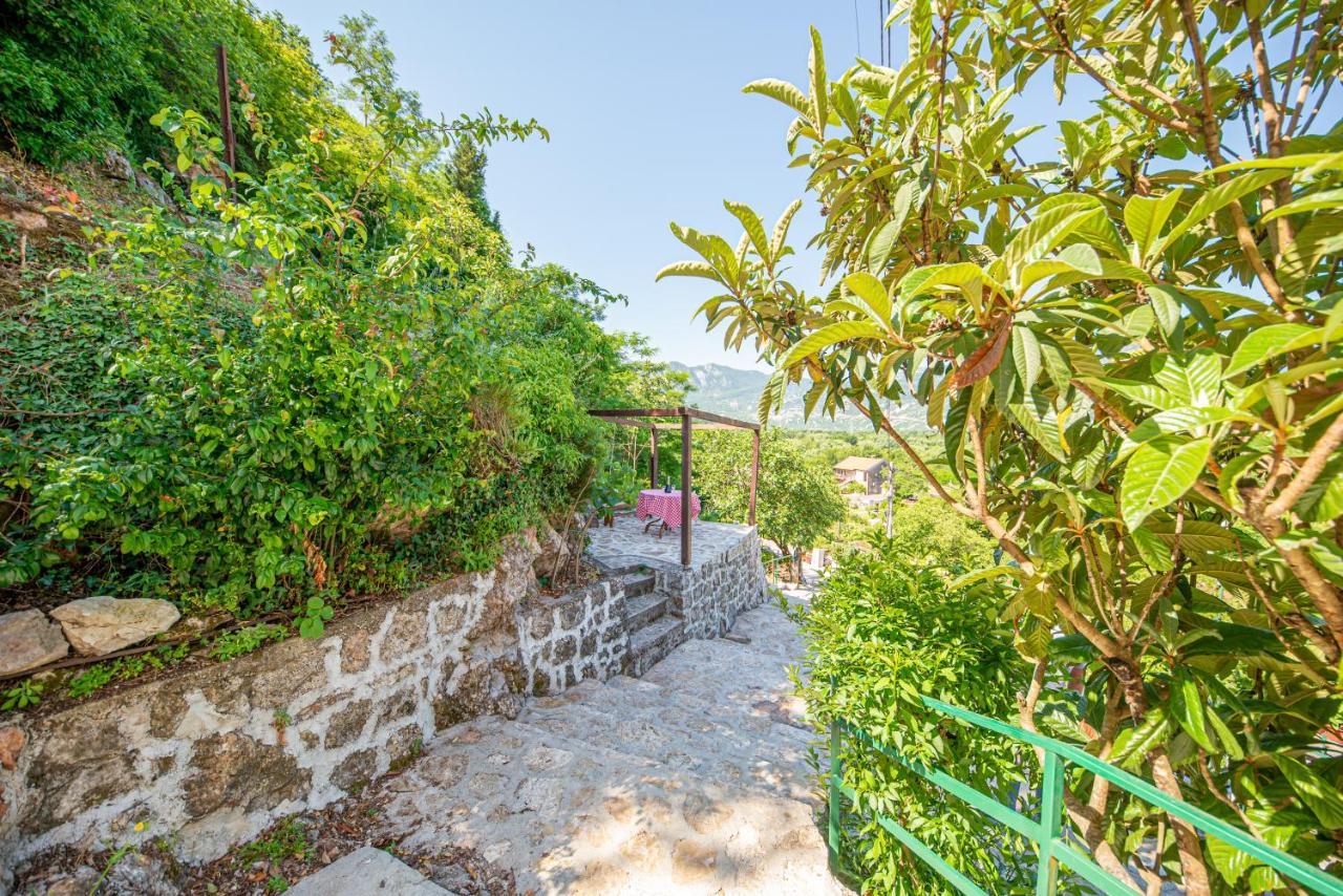 Ethno House Osobak Bed & Breakfast Virpazar Exterior photo