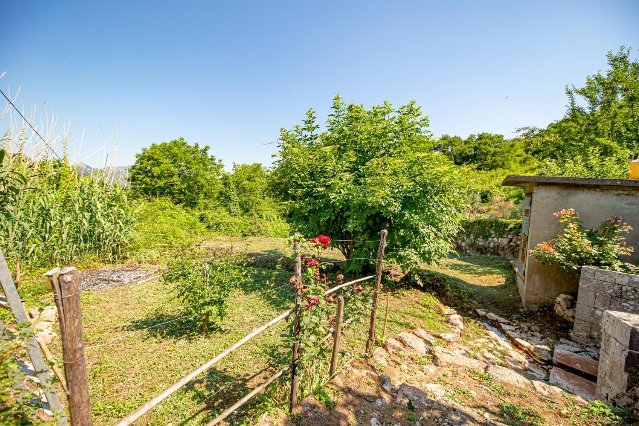Ethno House Osobak Bed & Breakfast Virpazar Exterior photo