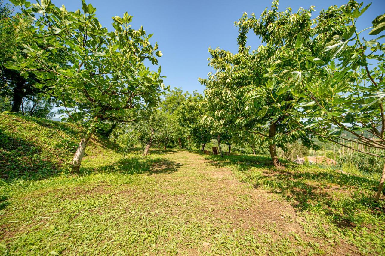 Ethno House Osobak Bed & Breakfast Virpazar Exterior photo