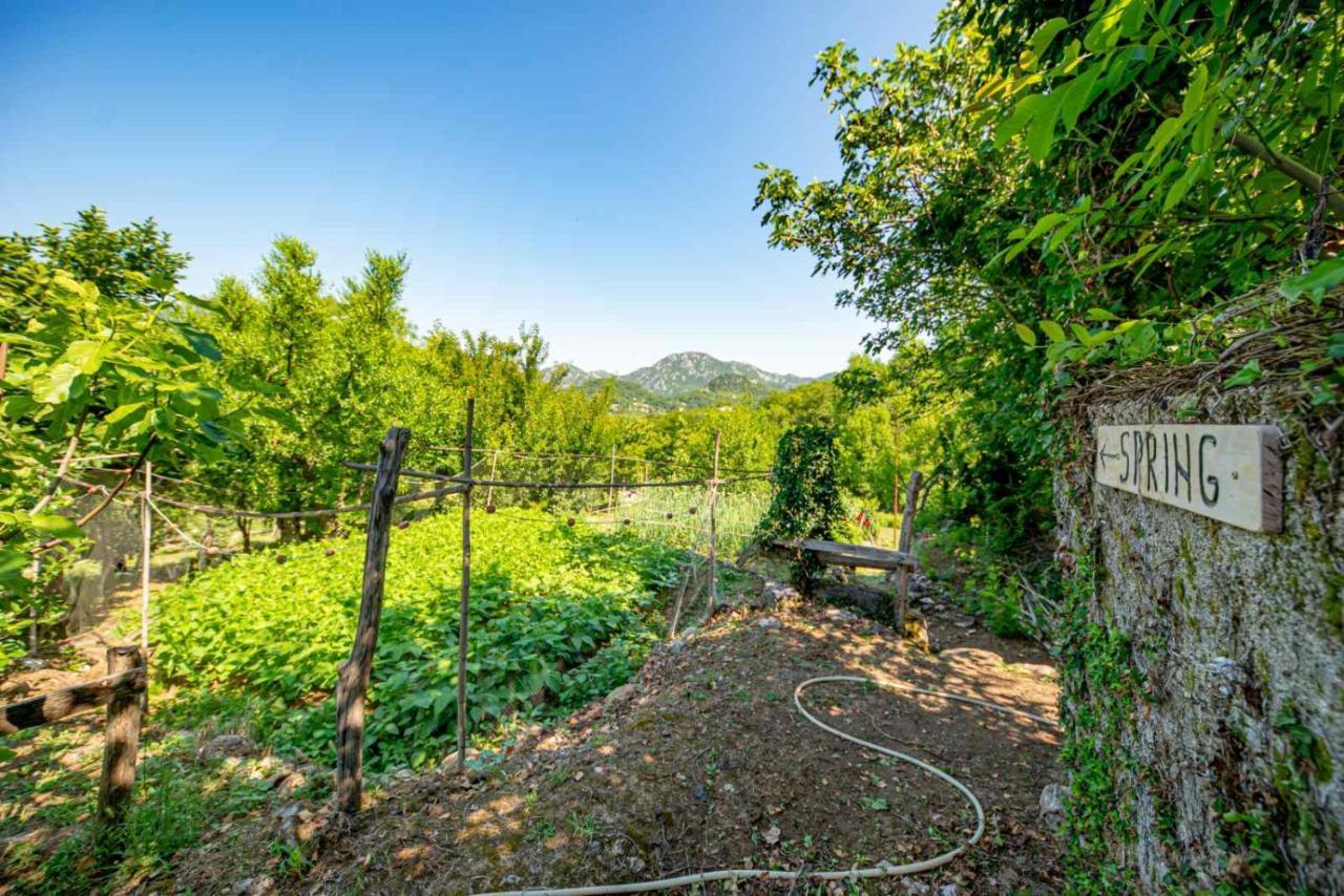 Ethno House Osobak Bed & Breakfast Virpazar Exterior photo