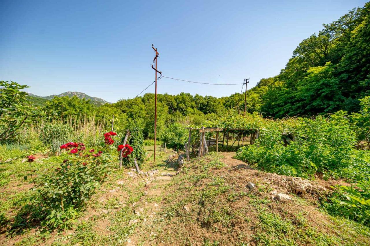 Ethno House Osobak Bed & Breakfast Virpazar Exterior photo